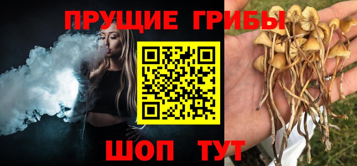 Псилоцибиновые грибы GOLDEN TEACHER Семилуки